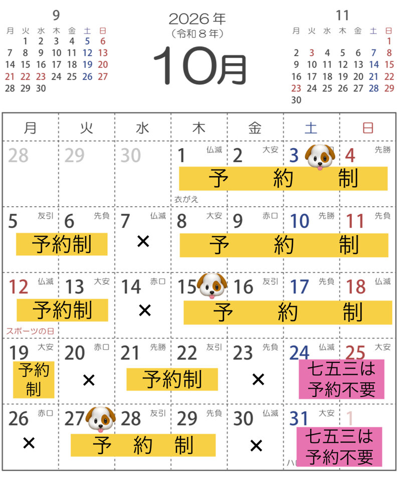 r8.10